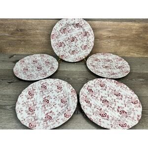 Royal Staffordshire Heirloom Ironstone J & G Meakin 10.25”Dinner Plates~set Of 5